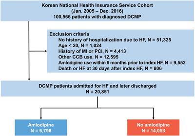 Impact of amlodipine on clinical outcomes for heart failure in patients with dilated cardiomyopathy: a Korean nationwide cohort study